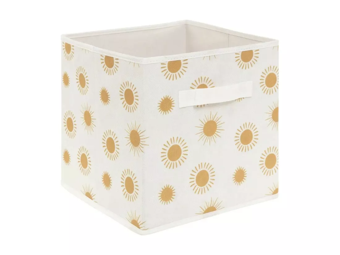 Lot de 2 Boîtes de Rangement 