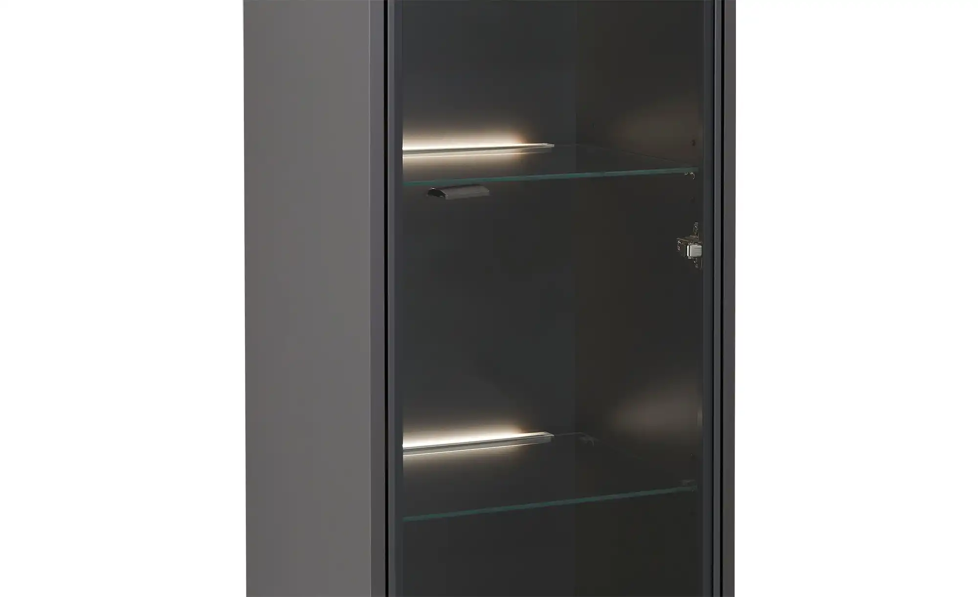 Hängevitrine Light Line 10