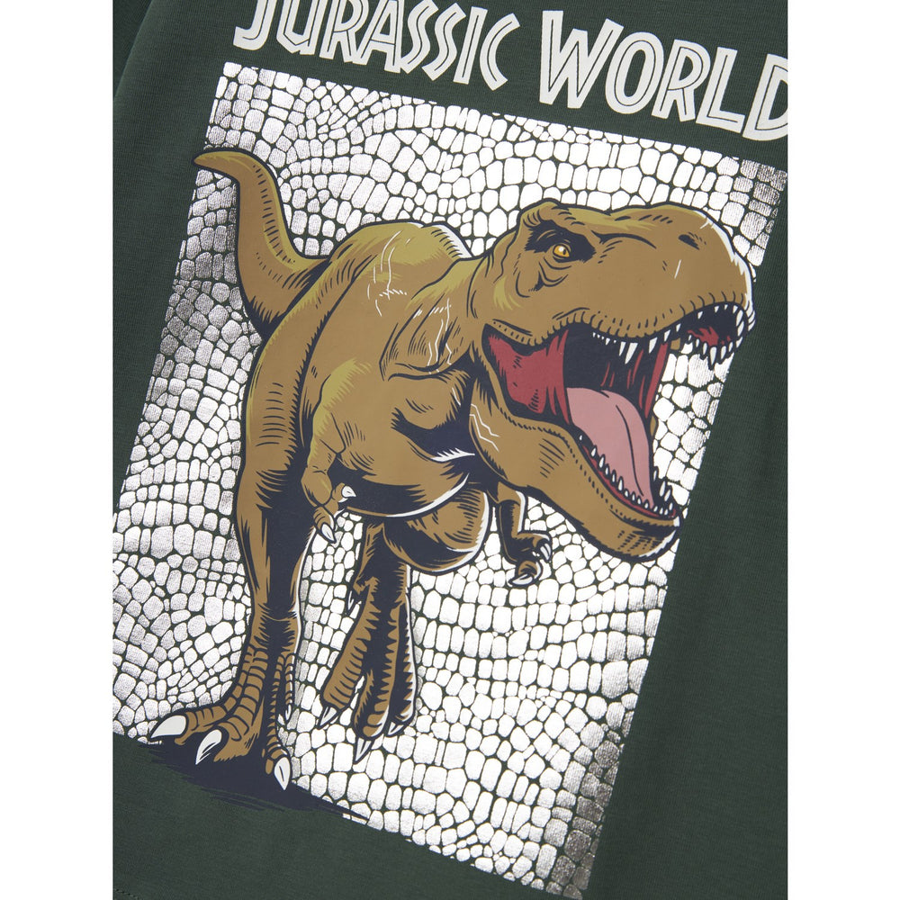 Køb Name It Garden Topiary Nmmjewel Jurassic Nreg Ls Top Noos Sky