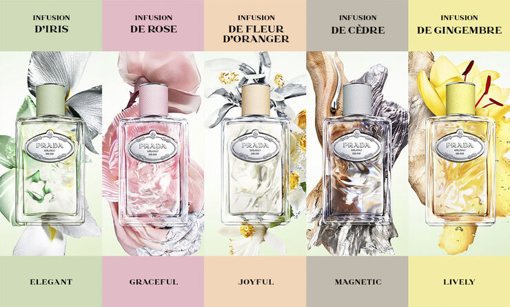 Prada Prada Infusion de Gingembre Eau de Parfum 100ml