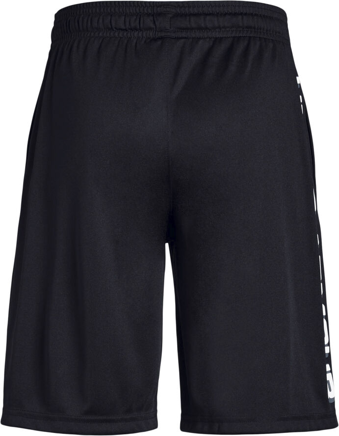 Under Armour Prototype Wordmark shorts Sort