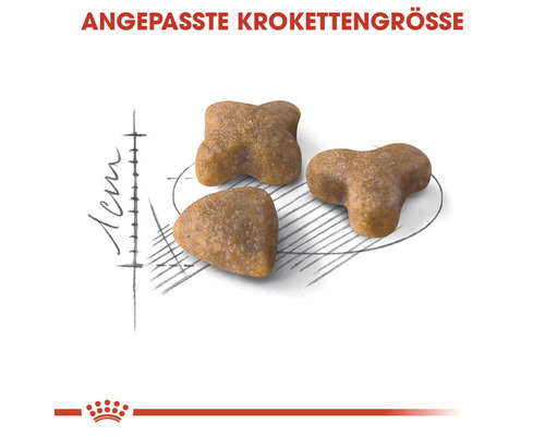 ROYAL CANIN Sensitive droogvoer voor katten 10 kg