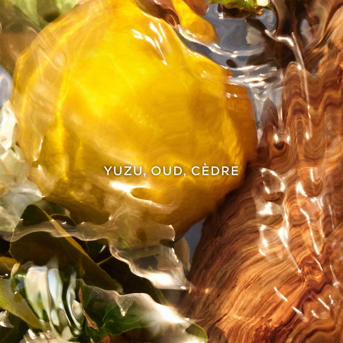GUERLAIN Aqua Allegoria Forte Oud Yuzu Eau de Parfum - Flacon Recharge