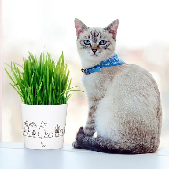 Cache-Pot 870 Catview ø13cm blanc