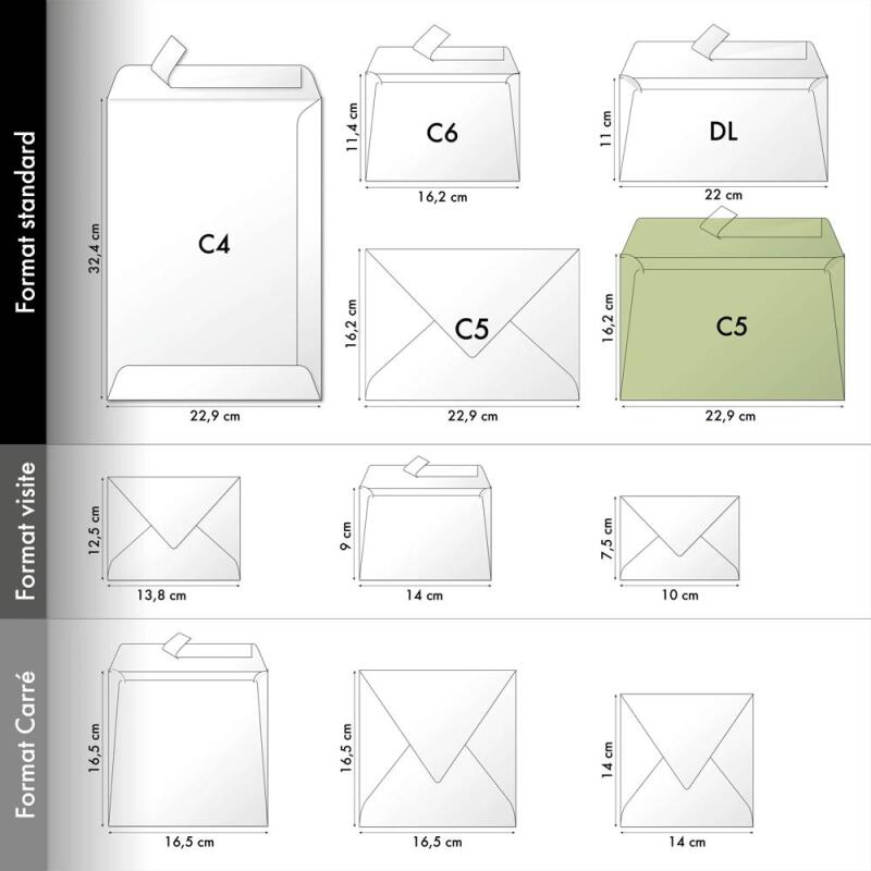 Carton de 200 enveloppes Pollen 162x229mm 120g/m2 avec bande adhésive - Kraft