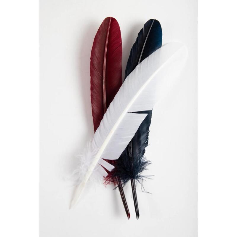 Plumes d'oie taillées 28cm