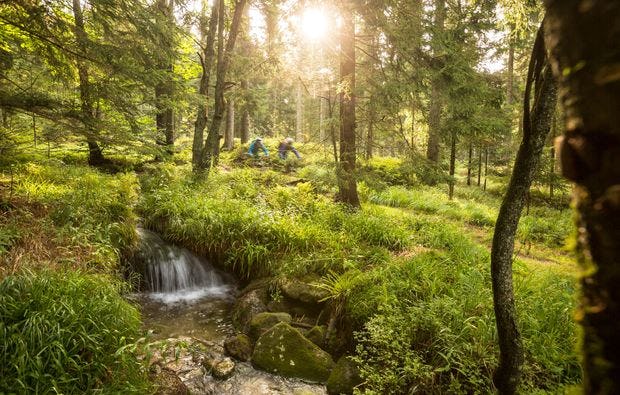 Mountainbike Grundkurs in Viechtach als Geschenk
