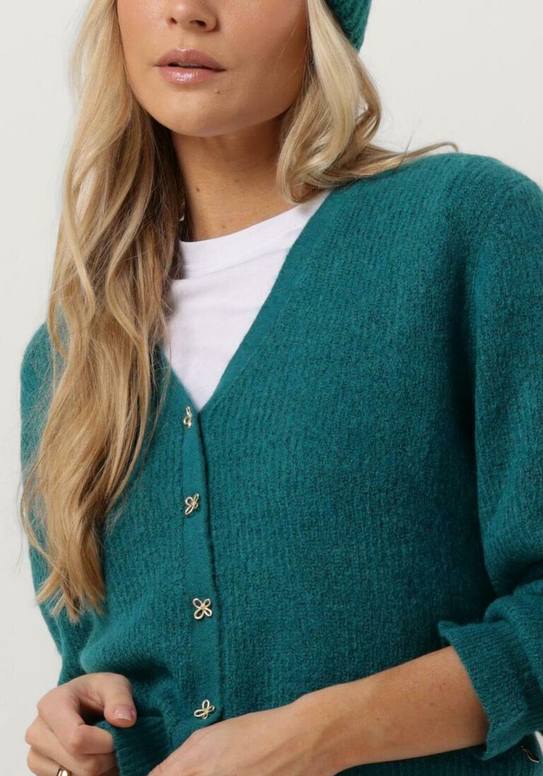FABIENNE CHAPOT turquoise fabienne chapot vest stella cardigan 65