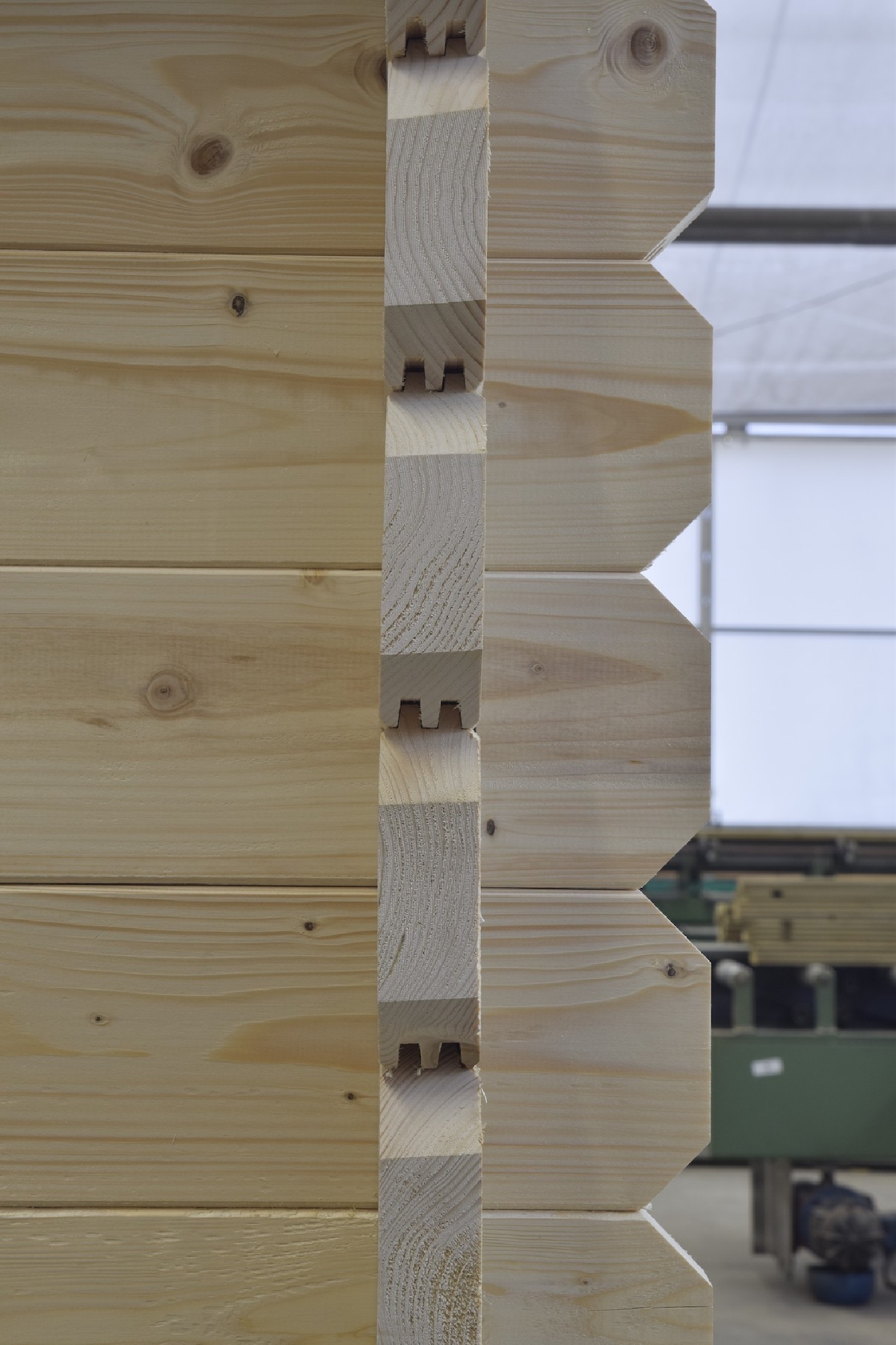 Abri de jardin en bois - 30m2 - 6x5m - ep. 40mm - couleur: naturel
