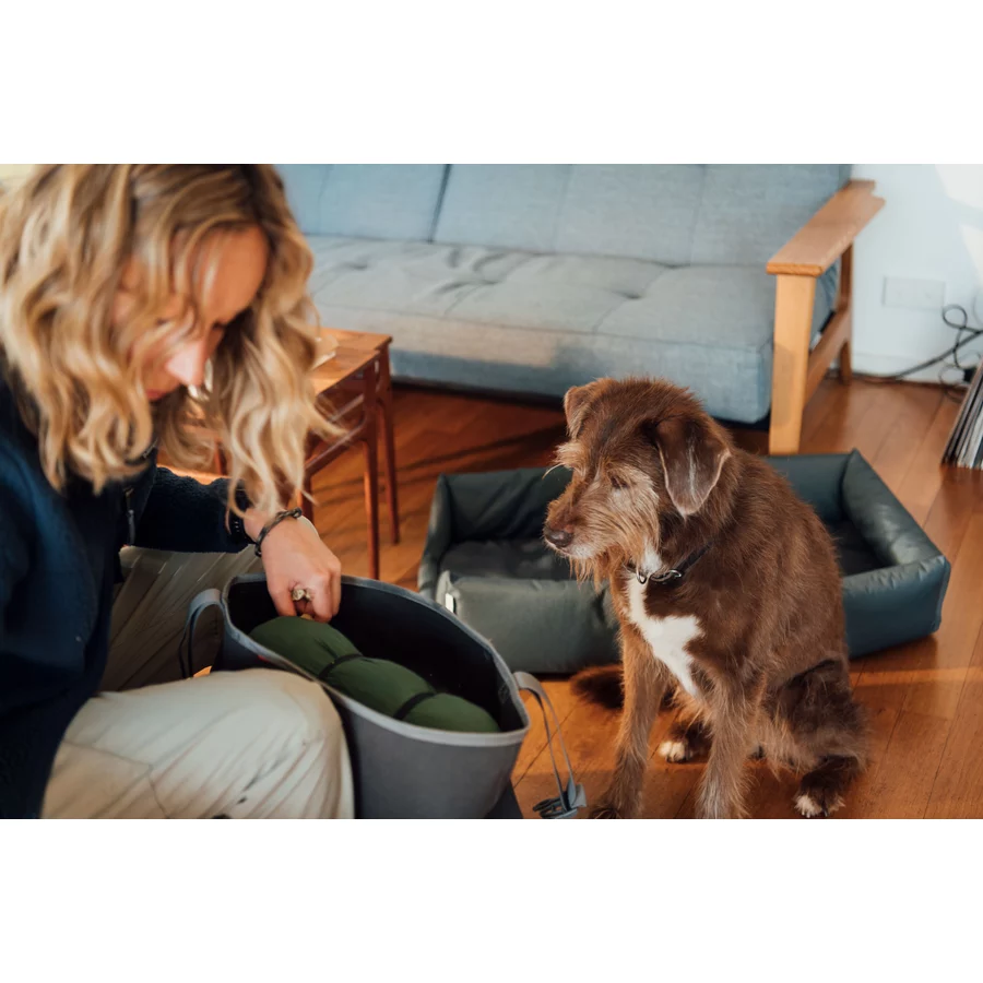 CROOZER Hundeanhänger Dog Mikke Colourful Journey