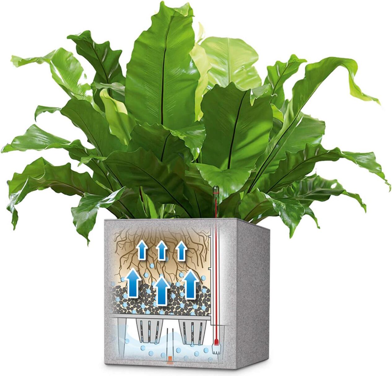 Lechuza plantenbak Canto grijs 40 x 40 x 40 cm