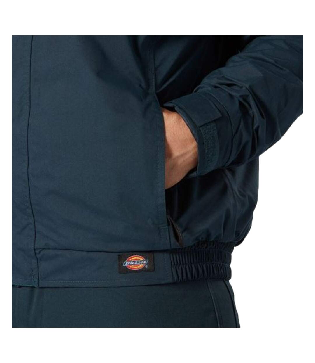 Veste Marine Homme Dickies Everyday