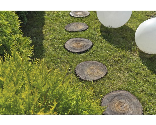 Stapsteen boomschijf bruin Ø 30 - 40 cm