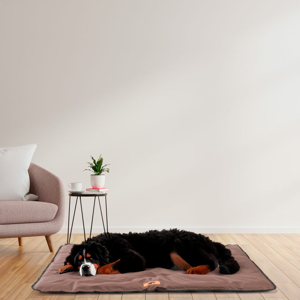 Ferplast panier pour chien chat - lit chien très grand lavable - matelas chien - coussin chien chat - imperméable & anti-rayures -