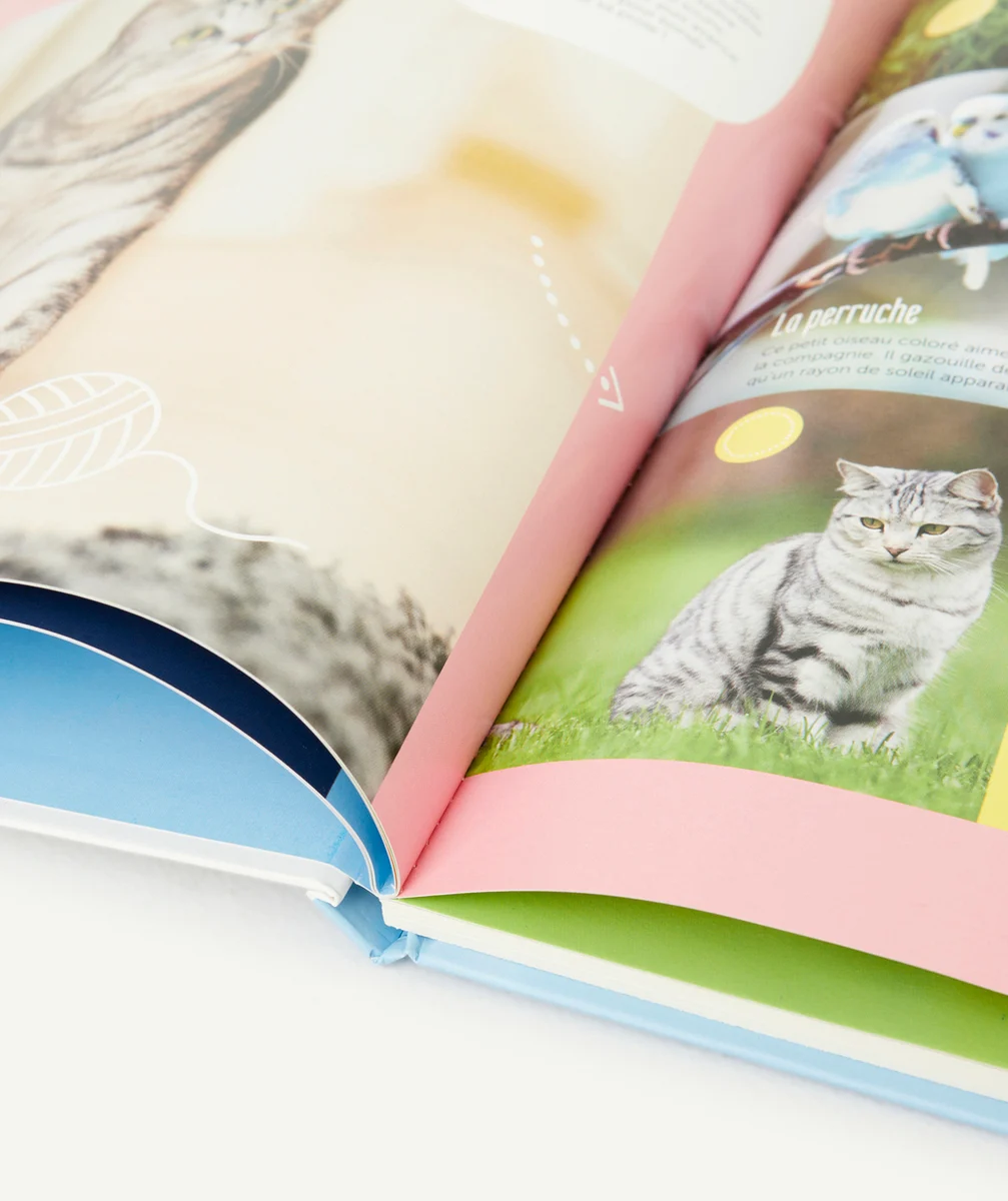 1 2 3 SOLEILMON LIVRE SONORE - LES ANIMAUX
