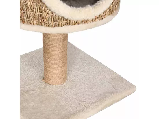 Arbre à chat avec appartement et griffoir 52 cm Herbiers marins