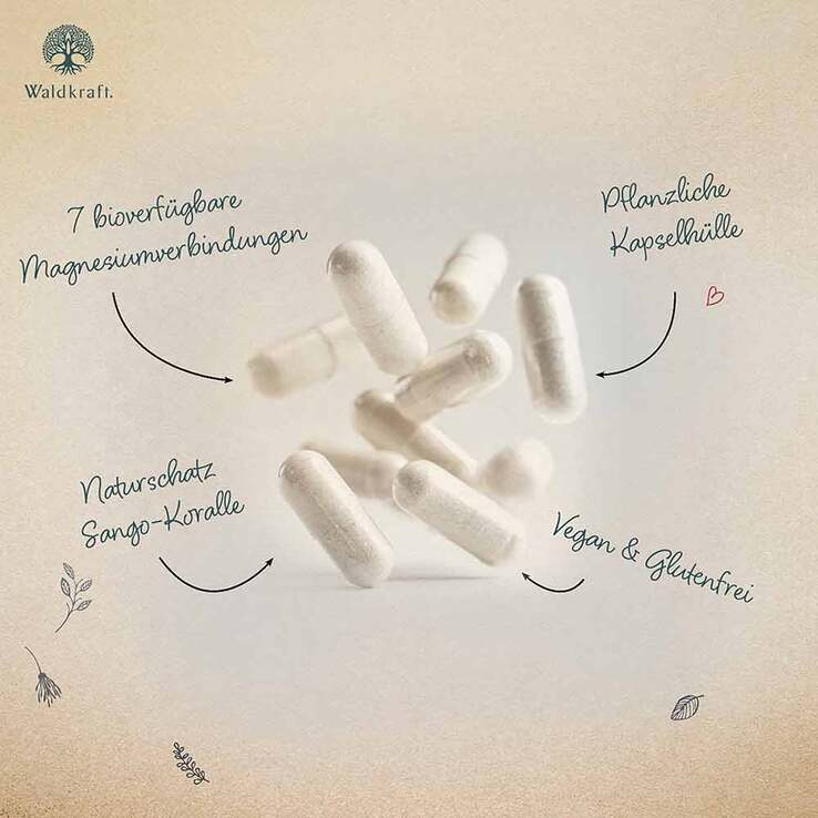 Magnesium-Komplex 7in1 Sangokoralle Kapseln Erdling, 120 St
