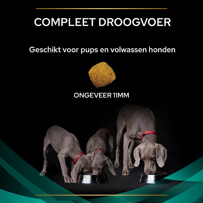 Purina Pro Plan Veterinary Diets Canine EN Gastrointestinal Hondenvoer