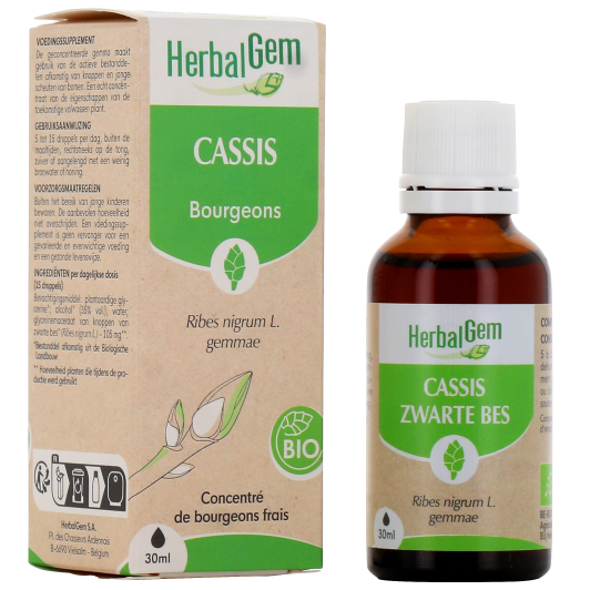 Herbalgem cassis bio - Complément alimentaire gemmothérapie