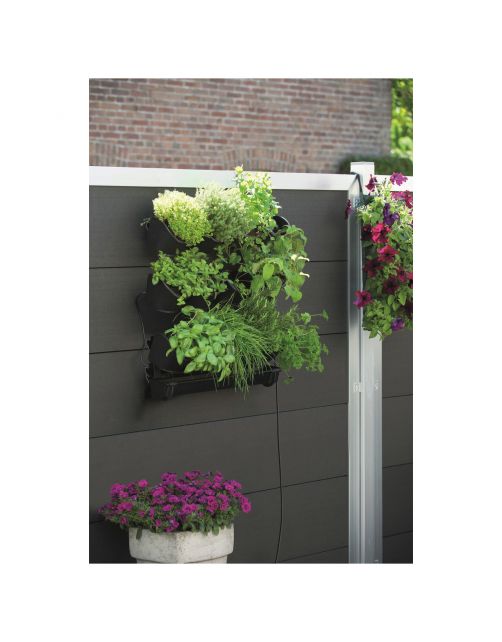 Nature Verticaal Tuinier Startset - Kweekbenodigdheden - 60x60 cm Zwart