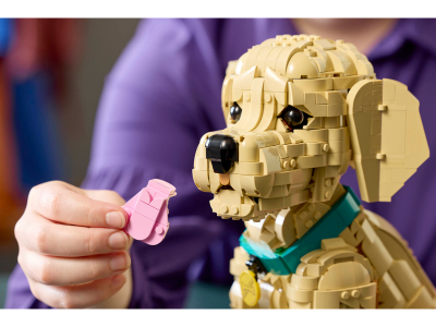 LEGO Golden retriever puppy (11384)