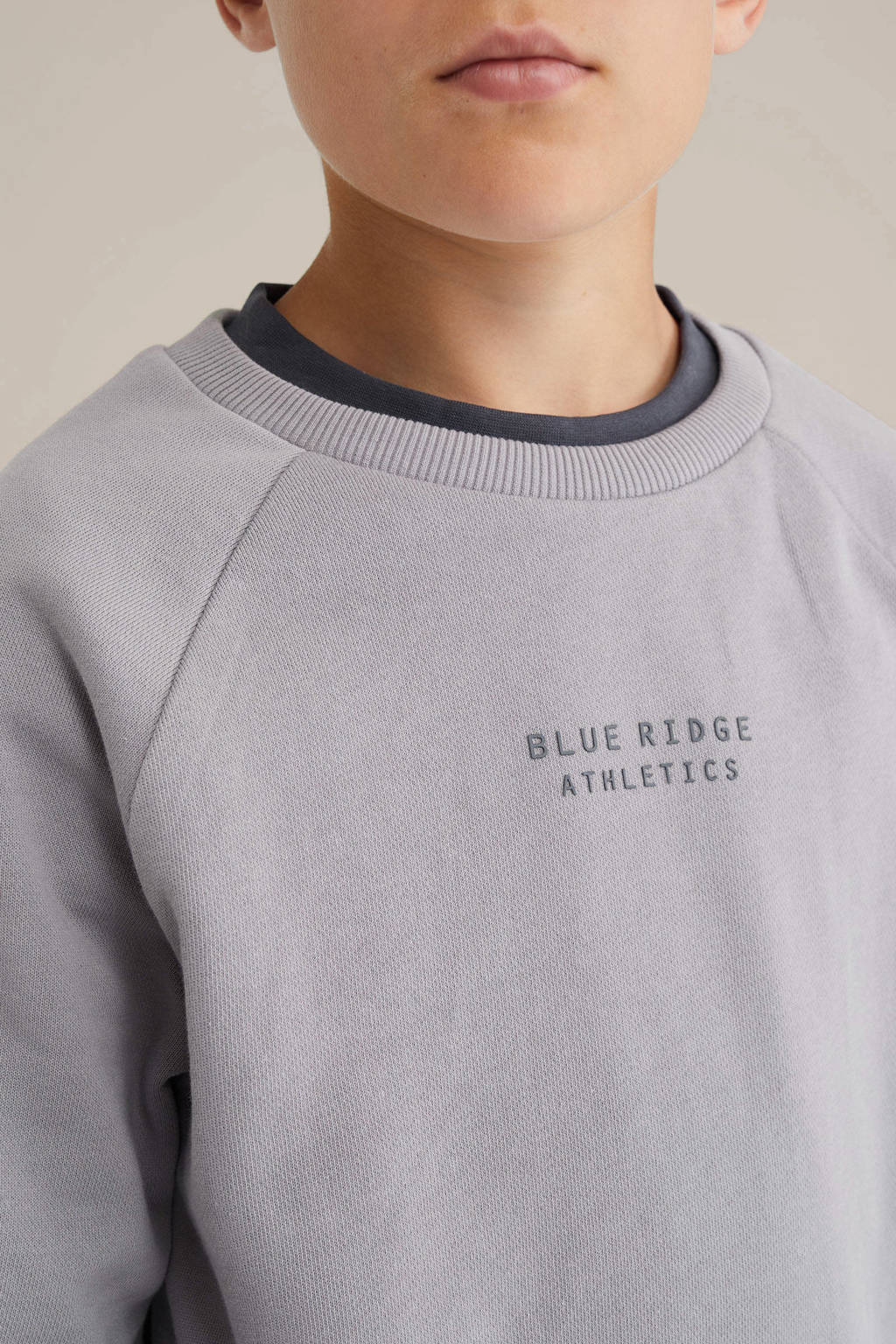 WE Fashion Blue Ridge sweater grijs