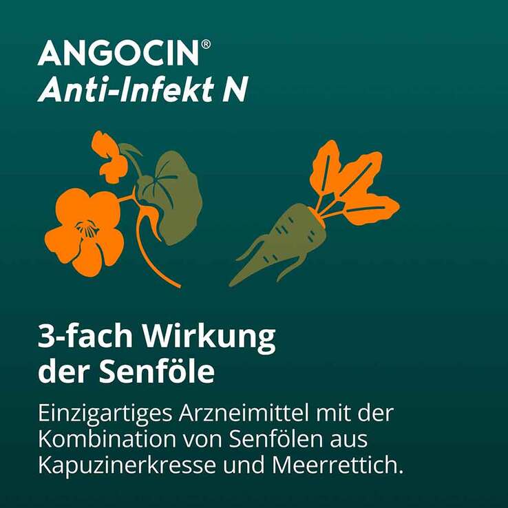 ANGOCIN Anti-Infekt N Filmtabletten, 540 St