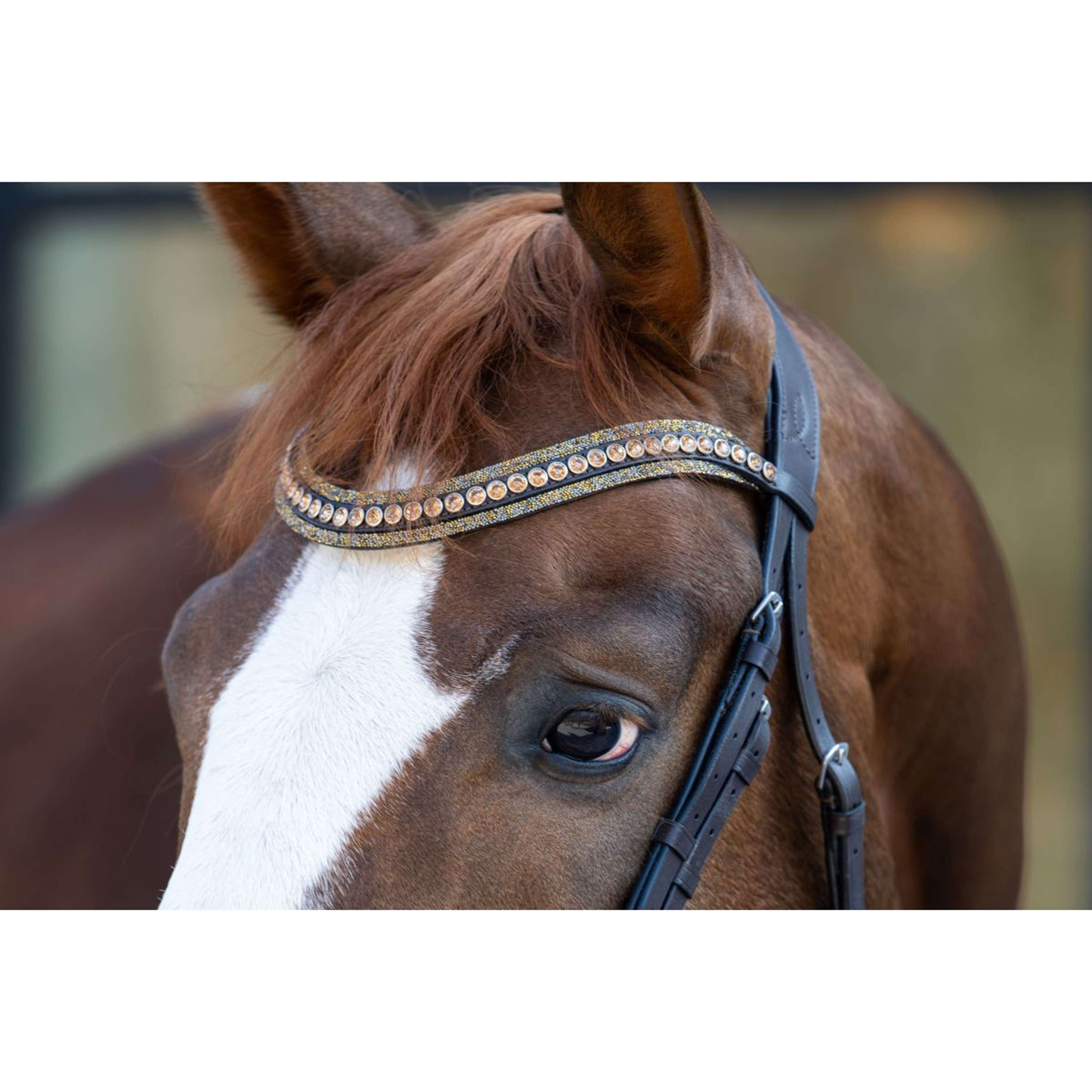 HB Hoofdstel Showtime It is So Special Brown/Golden Glitter