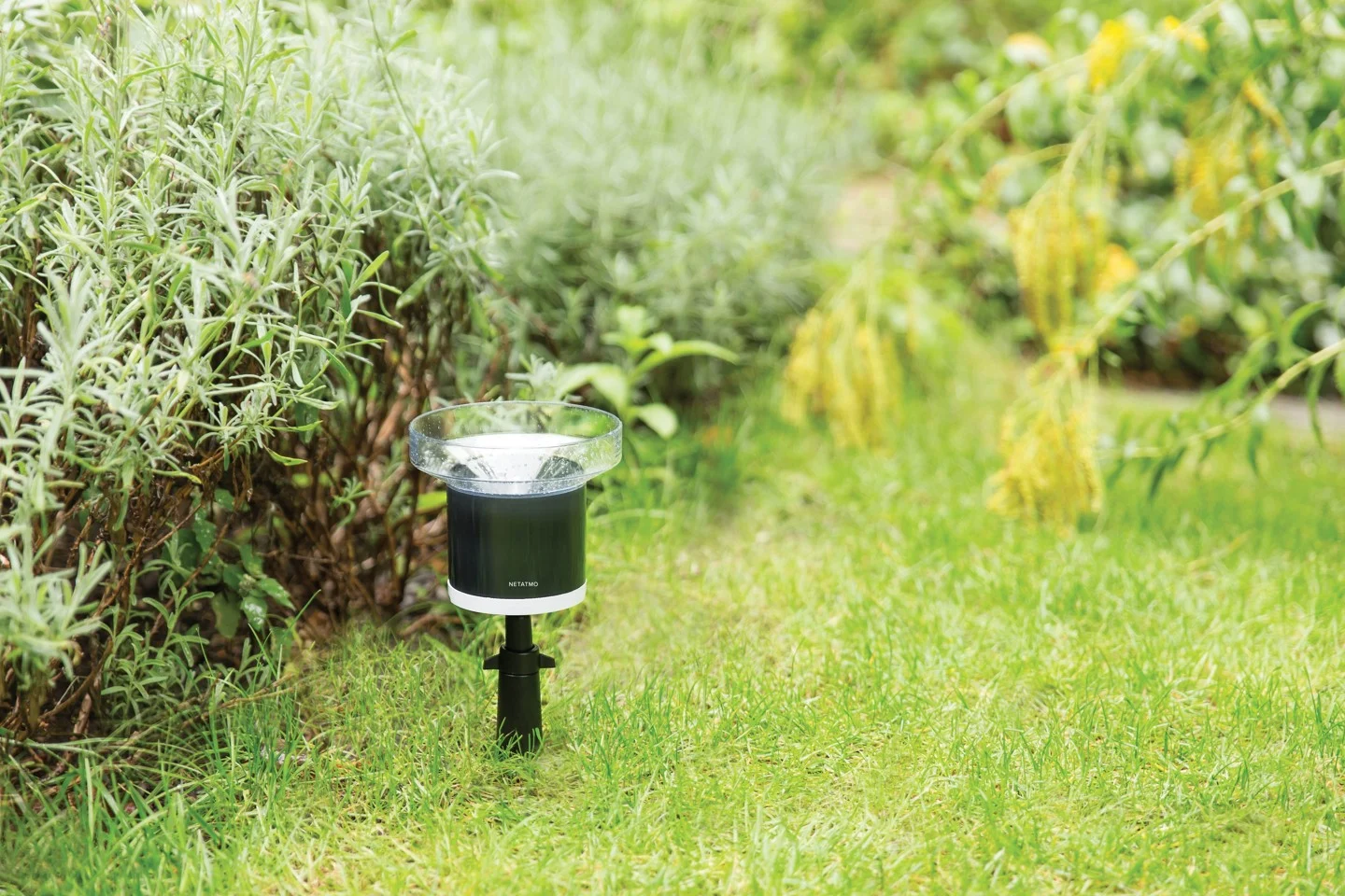 ​Netatmo - Regnmåler Til Smart Home Vejrstation