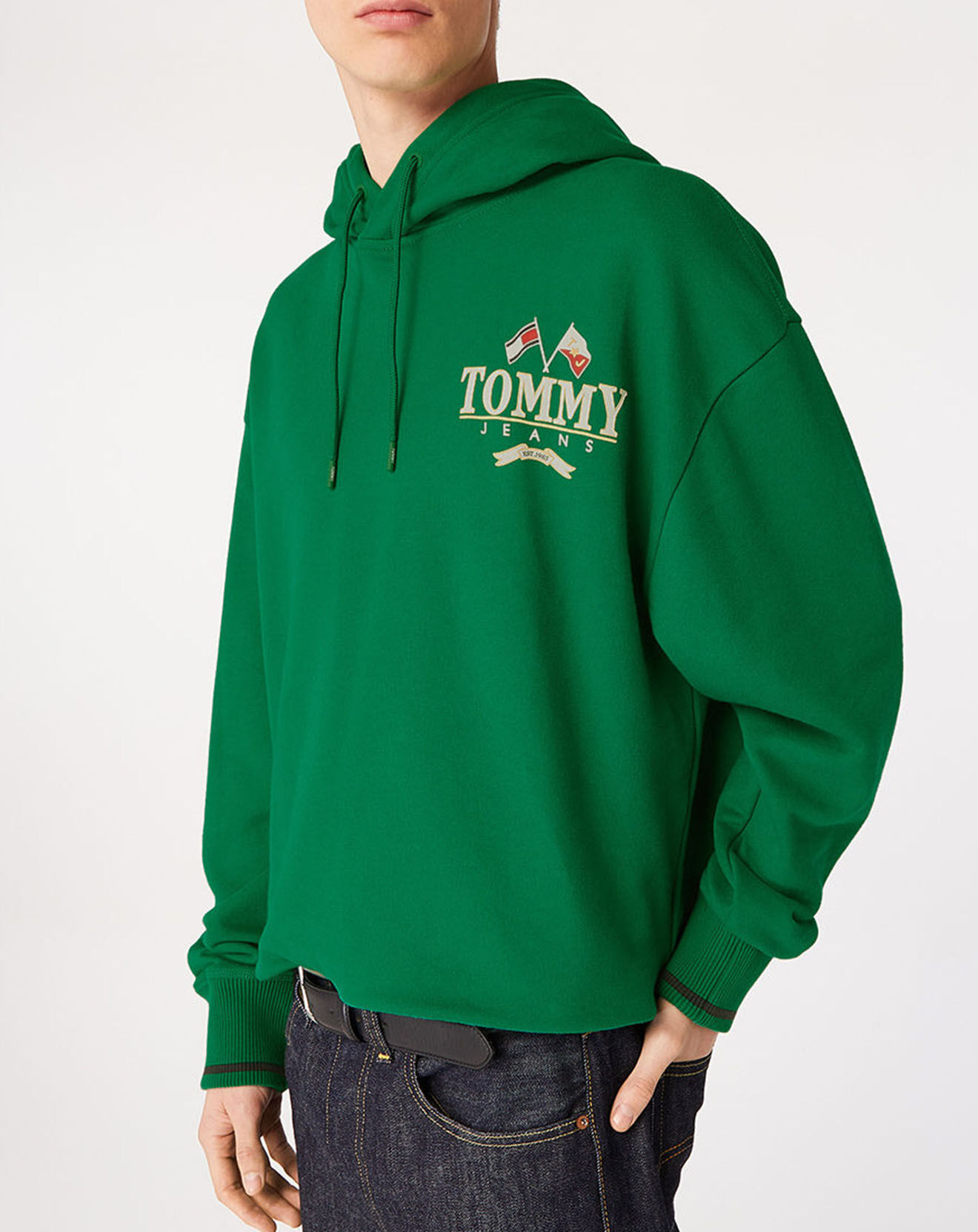 Tommy Jeans Sweat à capuche Skater vert gazon