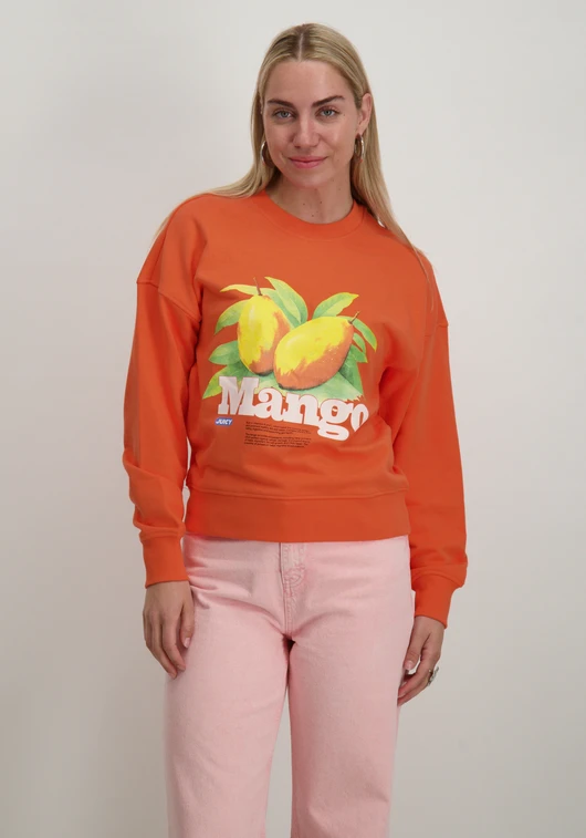 Only Sweater Philea 15351693