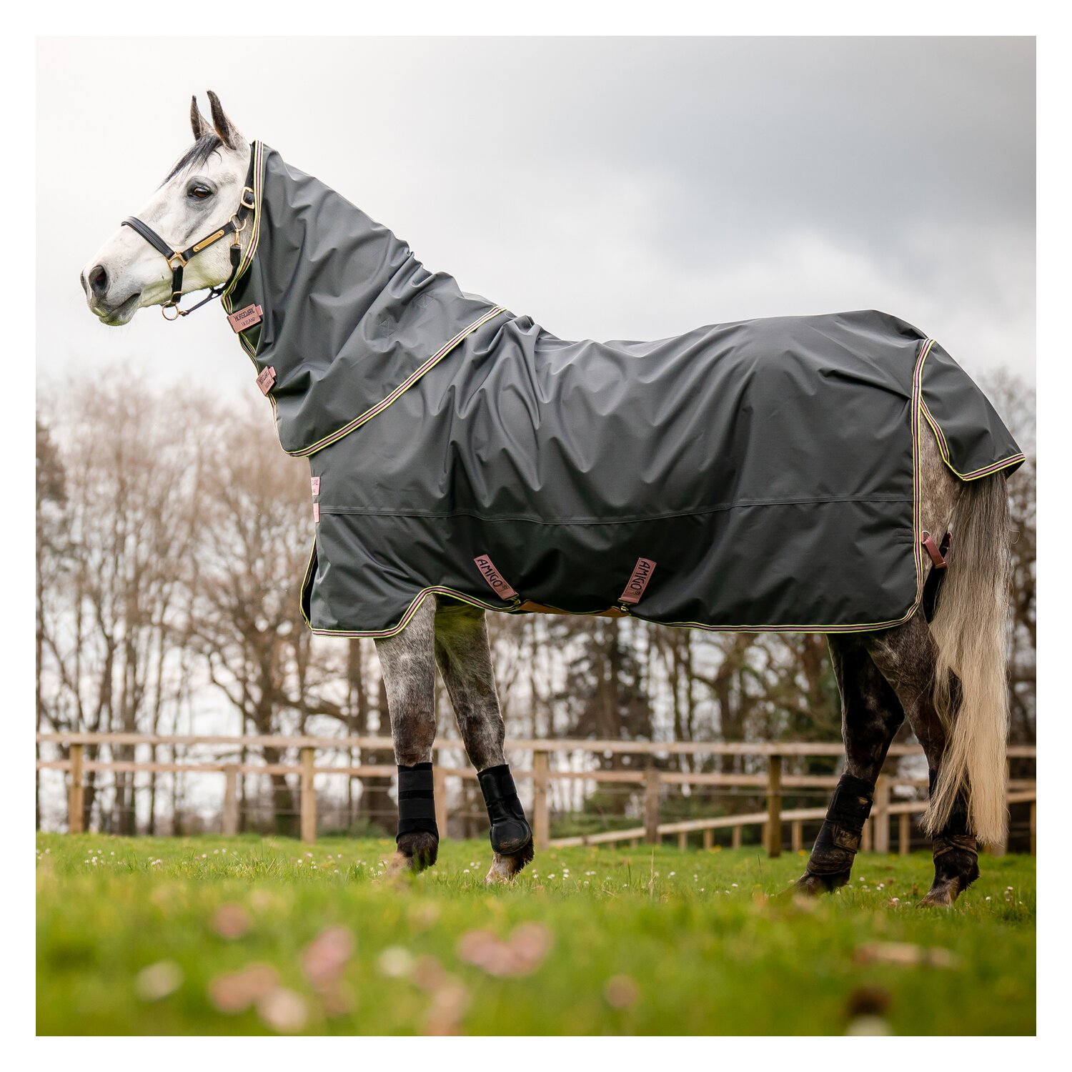 HORSEWARE Outdoordecke Amigo Hero Ripstop Plus Lite - shadow / rose & navy