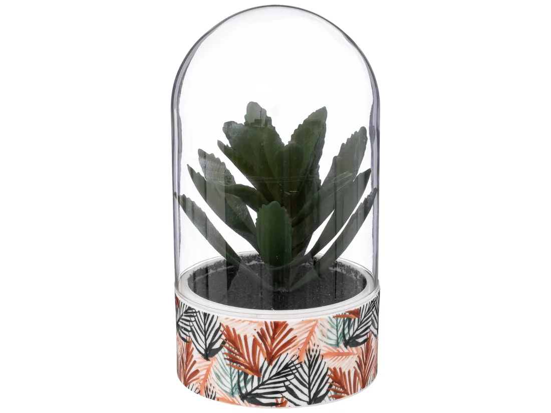 Atmosphera plante ali cloche h21cm