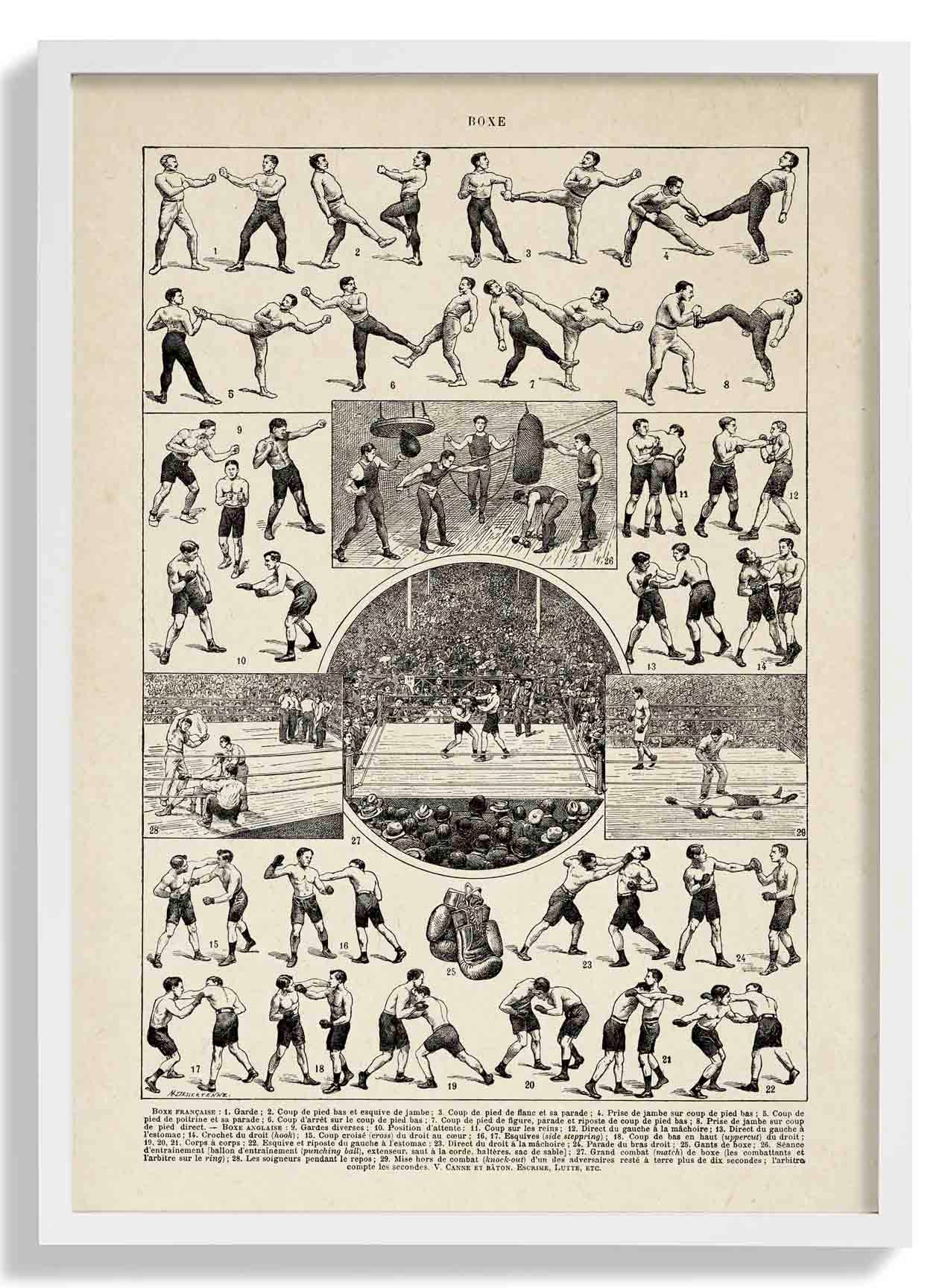 Vintage Boxe Larousse