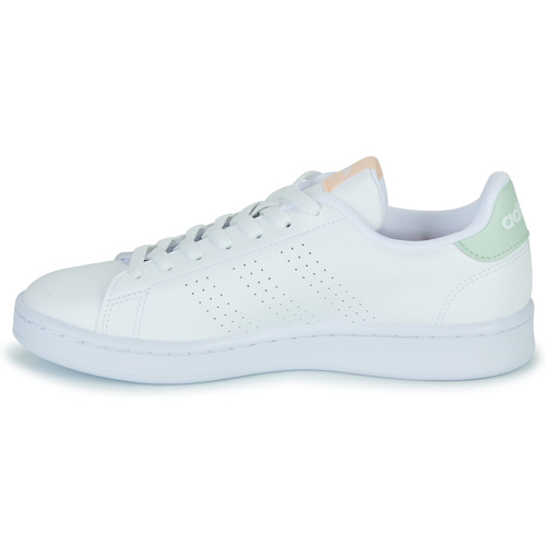 Adidas Sportswear - ADVANTAGE - Blanc / Vert