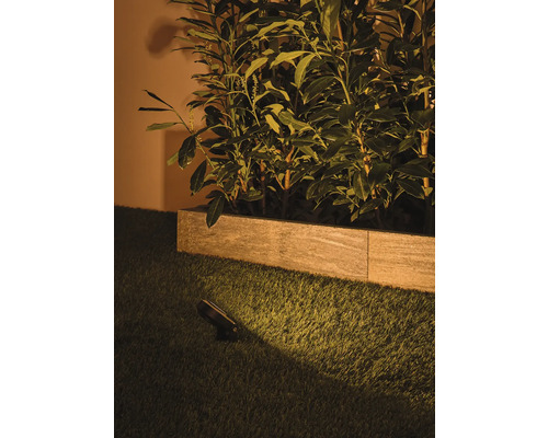 Paulmann Plug & Shine LED-tuinspot starterset, insectvriendelijk, 3 x 6,3 W, 280 lm, 2200 K, Sting antraciet, 230/24 V