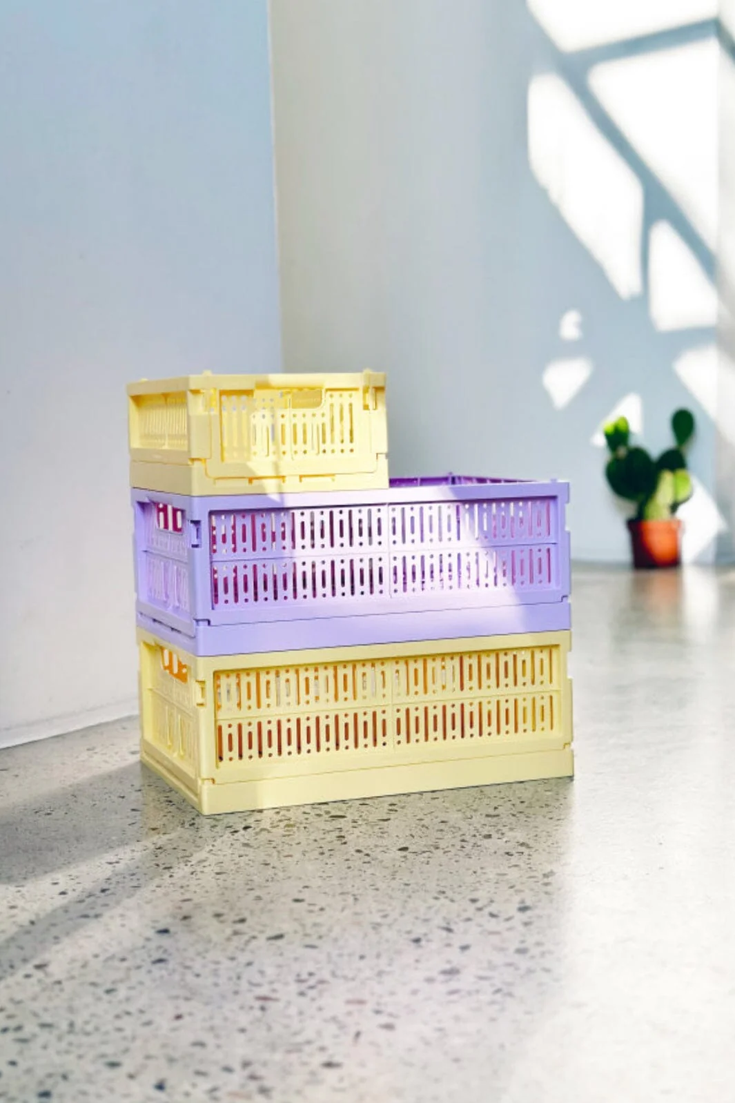 Made Crate Mini lemon cream
