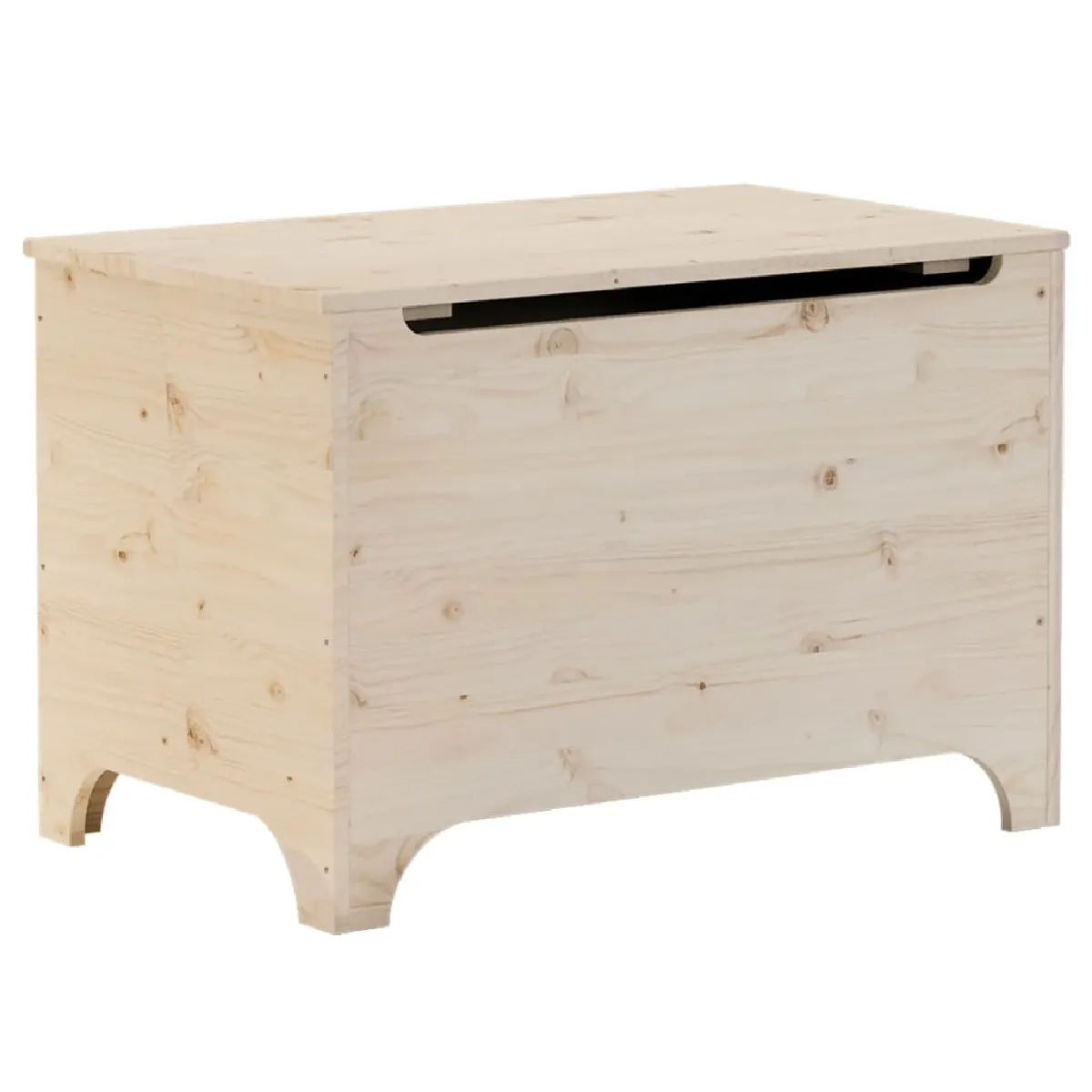 vidaXL Boîte de rangement RANA