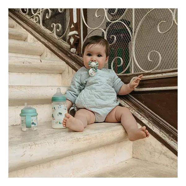 Chupetas Suavinex Symmetrical Sx Pro 0-6 Meses - Pacote com 2 - Rosa - Walk In The Park