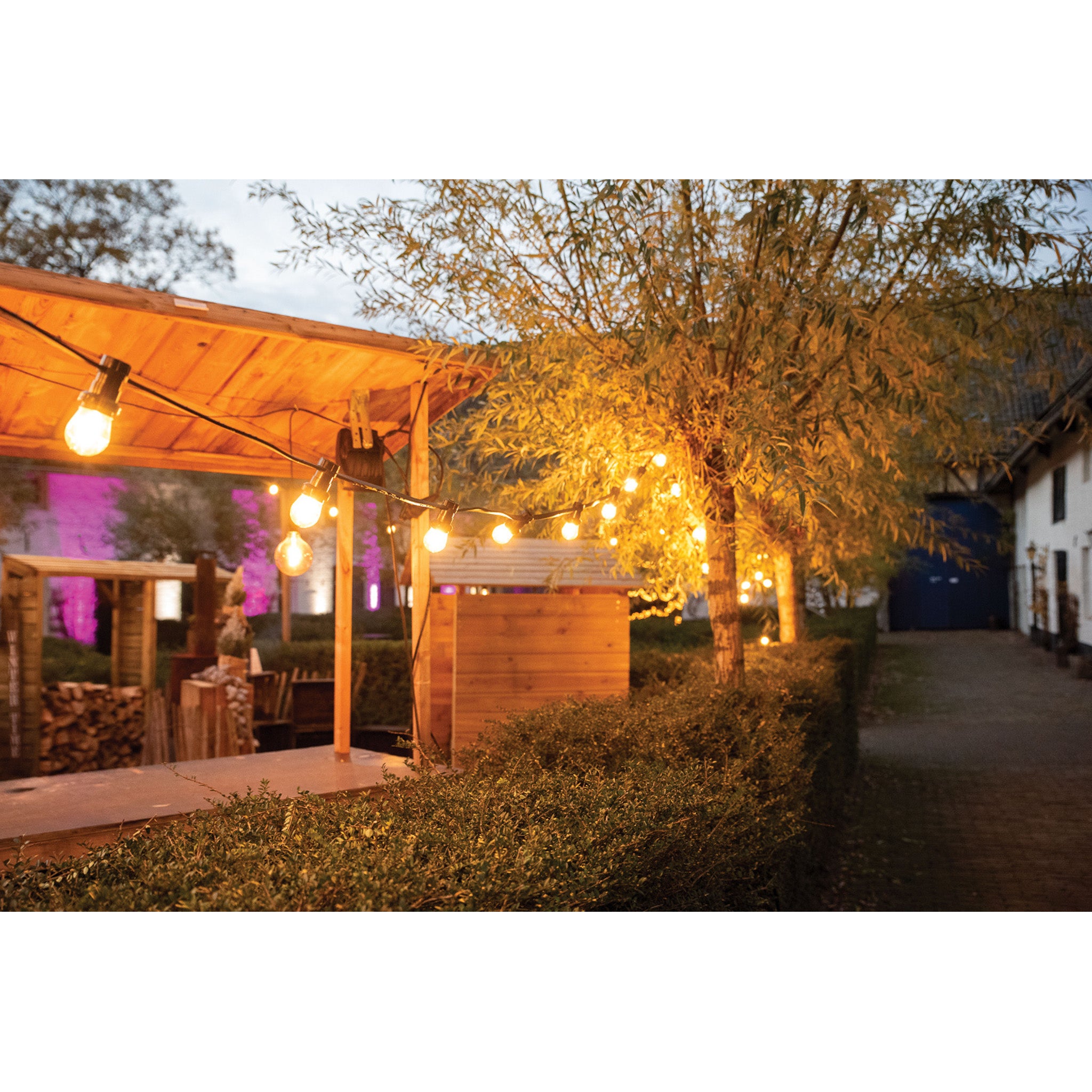 Showgear Festoon Light E27 prikkabel, 50 m en 100 fittingen, wit