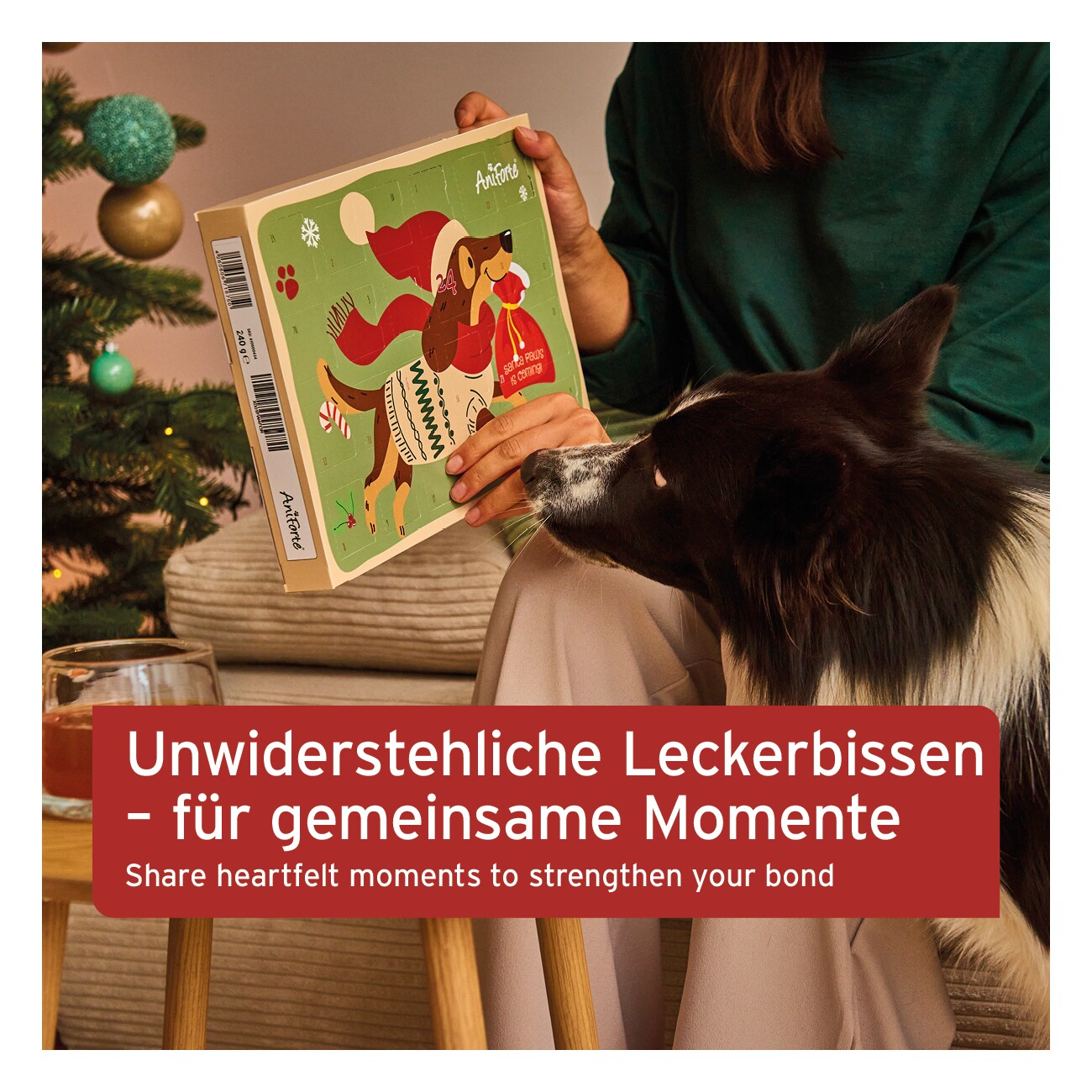 AniForte Adventskalender 2025 für Hunde