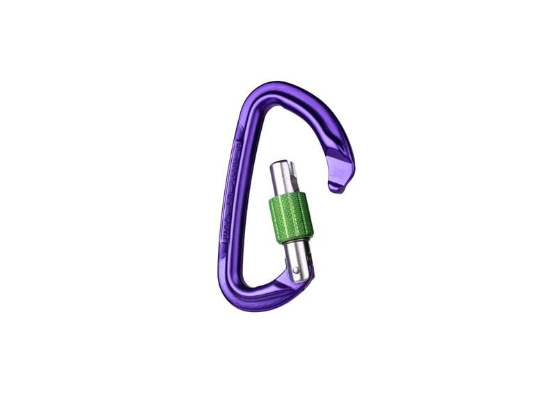 Wild Country Carabiner Session Screw Gate Lila Karabiner mit Schraubverschluss