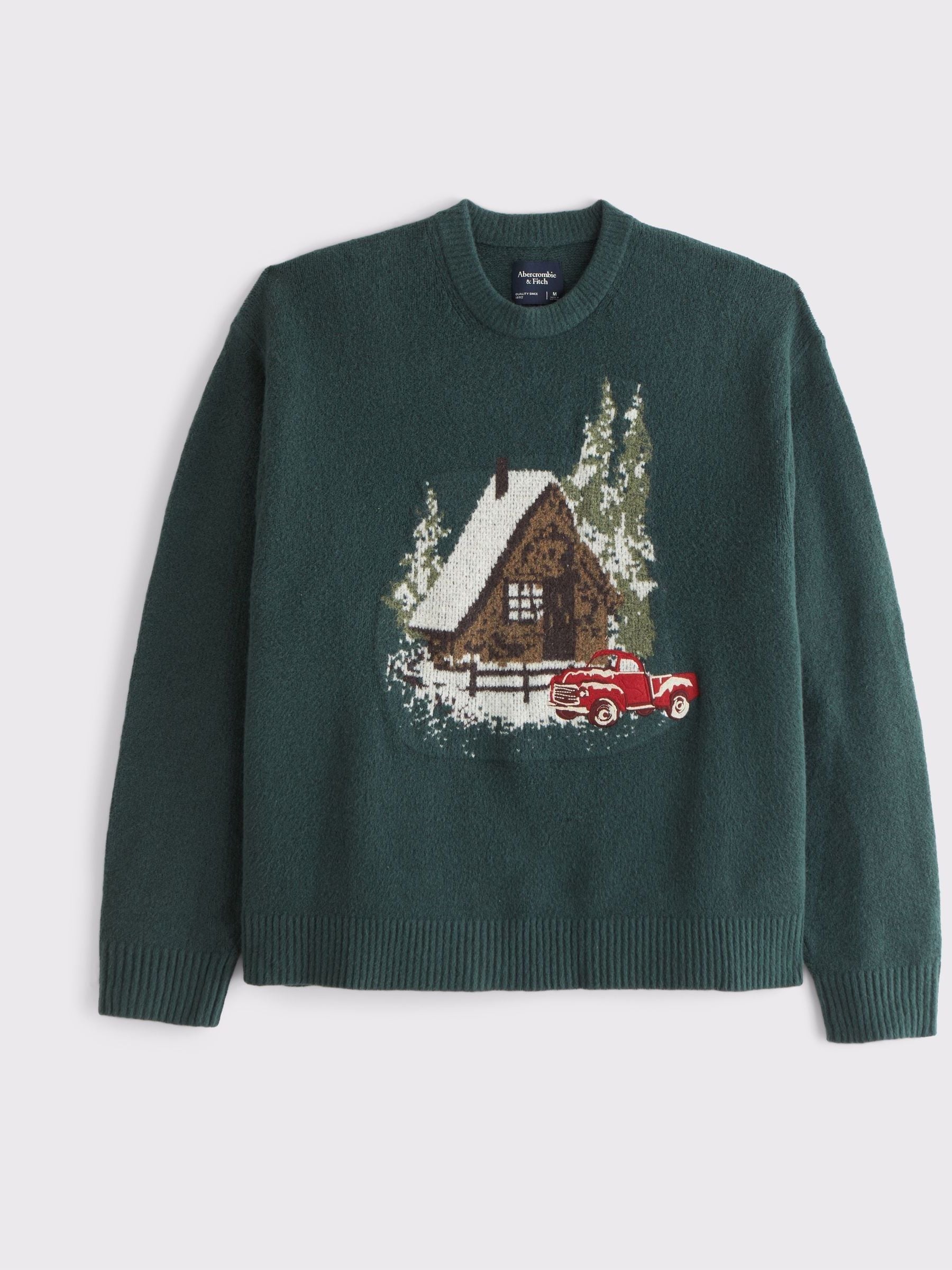 Groen - Abercrombie & Fitch Christmas Novelty Graphic Crew Neck Sweatshirt