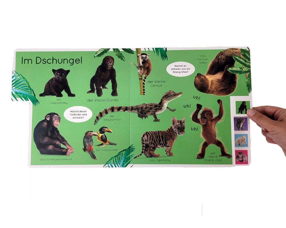 Erstes Lernen. Tierkinder