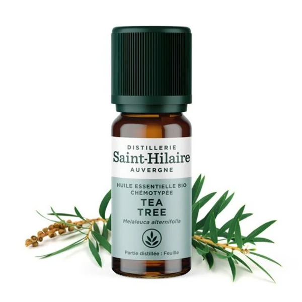 Distillerie Saint Hilaire Huile Essentielle de Tea Tree 10ml