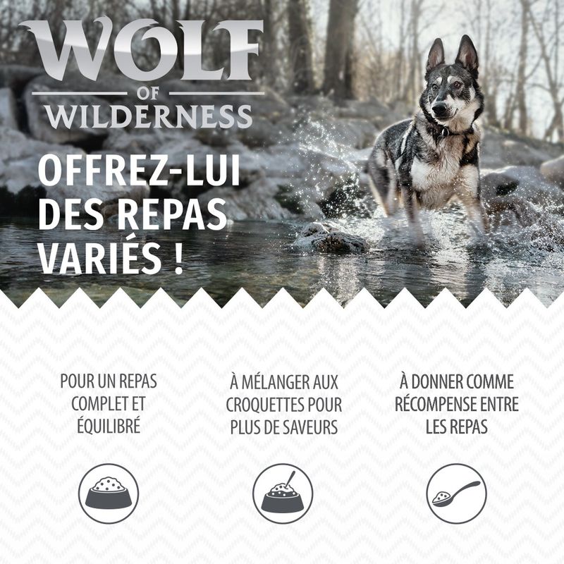 Wolf of Wilderness Junior “Expedition” 6 x 400 g