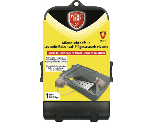 Protect Home Muizenval, Levende Muizenval, Meerdelig, 1 Stuk, Humane Vangmethode voor maximaal 4 Muizen tegelijk