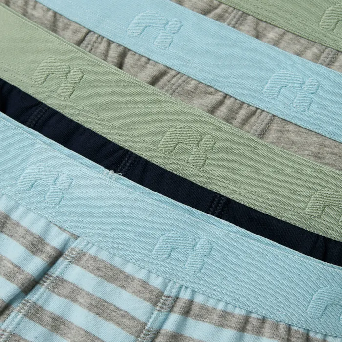 Name It Aquamarine Boxershorts Junior (5-pack)