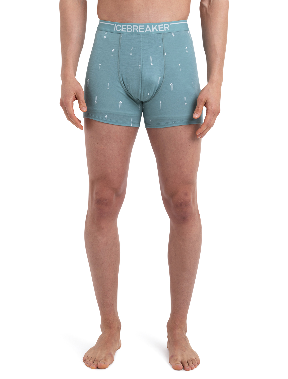 Merino Anatomica Boxers Palm Trail AOP Herre Cloud Ray/AOP