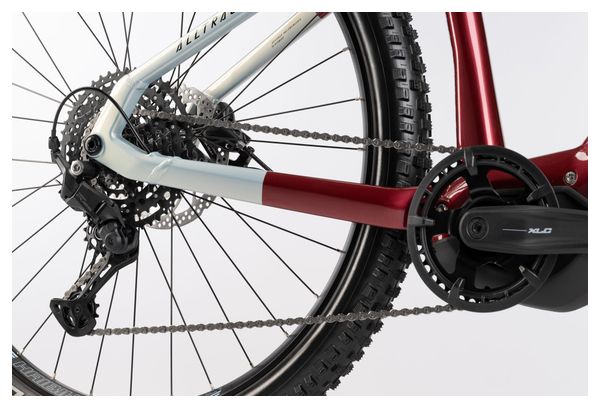 VTT Électrique Semi-Rigide Haibike AllTrack 5 Shimano Cues 10V 720 Wh 29'' Rouge Dark Tuscan 2025